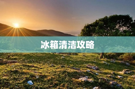 冰箱清洁攻略：如何有效去除异味与污垢