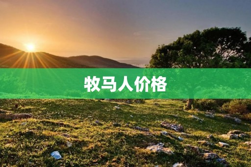 牧马人价格：高性能越野SUV的超值选择