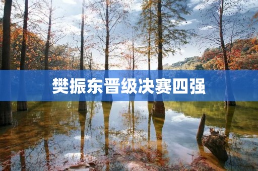 樊振东晋级决赛四强:中国乒乓球新星闪耀世界舞台 樊振东晋级决赛四强:中国乒乓球新星闪耀世界舞台