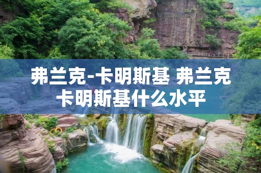 弗兰克-卡明斯基 弗兰克卡明斯基什么水平 弗兰克-卡明斯基 弗兰克卡明斯基什么水平