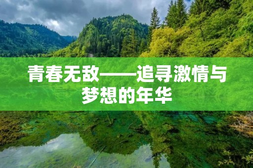 青春无敌——追寻激情与梦想的年华