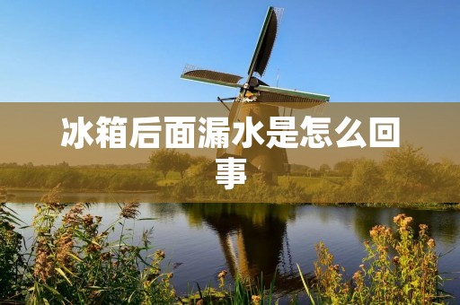 冰箱后面漏水是怎么回事 冰箱后面漏水是怎么回事
