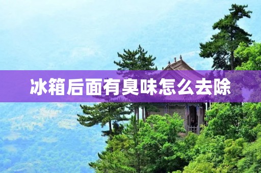 冰箱后面有臭味怎么去除 冰箱后面有臭味怎么去除
