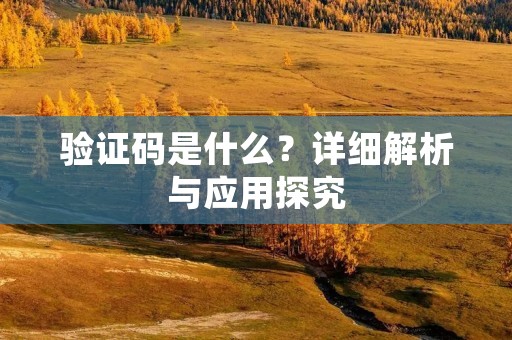 验证码是什么？详细解析与应用探究