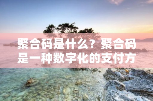 聚合码是什么？聚合码是一种数字化的支付方式，它逐渐成为人们日常消费中不可或缺的一部分。聚合码的出现，打破了传统支付方式的局限性，使得支付更加便捷、高效。本文将详细介绍聚合码的定义、特点、应用场景以及未来发展趋势。