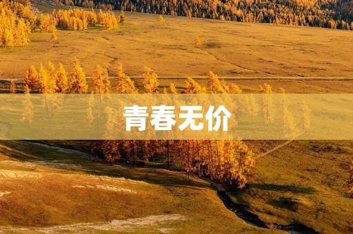 青春无价:探寻年轻时光的宝贵意义