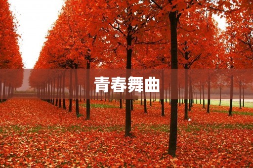 青春舞曲:跳动青春激情的节奏