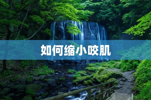 如何缩小咬肌