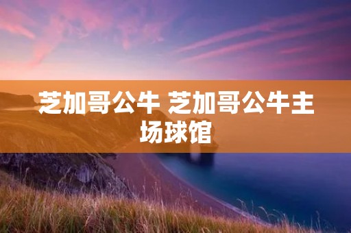 芝加哥公牛 芝加哥公牛主场球馆