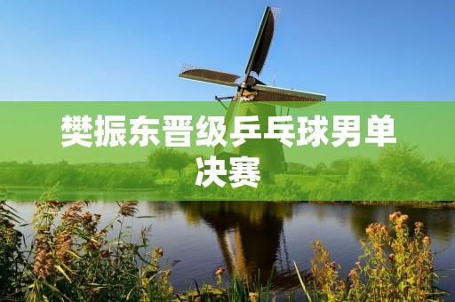 樊振东晋级乒乓球男单决赛