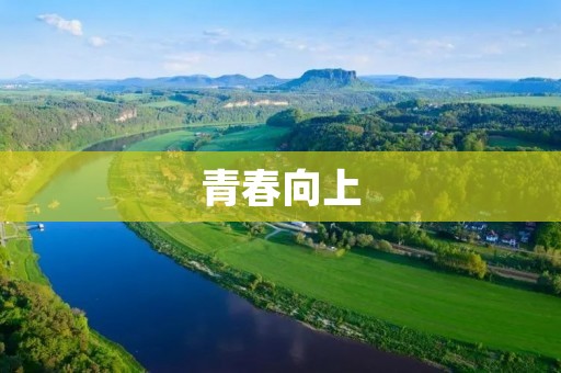 青春向上:追逐梦想的年轻人