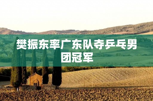 樊振东率广东队夺乒乓男团冠军