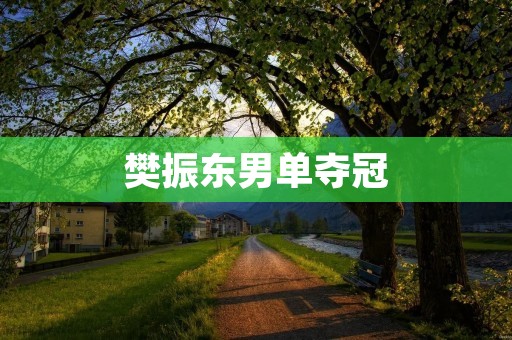 樊振东男单夺冠:中国乒乓球新星的辉煌时刻 樊振东男单夺冠:中国乒乓球新星的辉煌时刻
