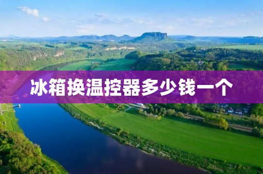 冰箱换温控器多少钱一个