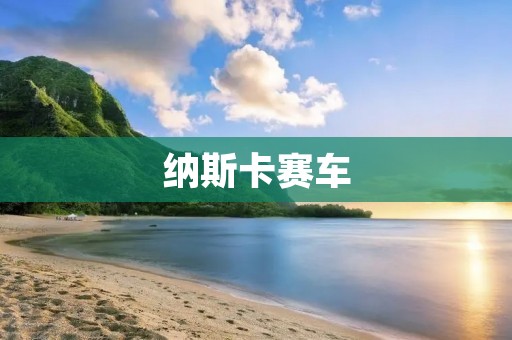 纳斯卡赛车:极速飞驰的狂热之梦 纳斯卡赛车:极速飞驰的狂热之梦