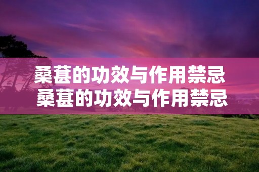 桑葚的功效与作用禁忌 桑葚的功效与作用禁忌及食用方法图片