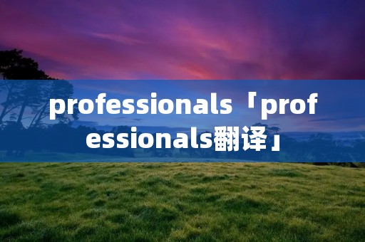 professionals「professionals翻译」