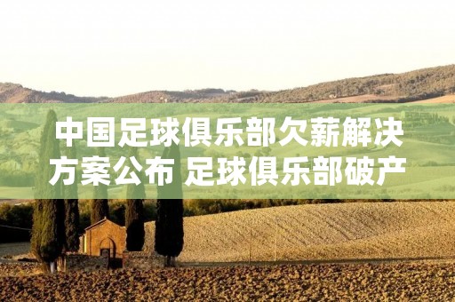 中国足球俱乐部欠薪解决方案公布 足球俱乐部破产会怎样欠薪怎么办 中国足球俱乐部欠薪解决方案公布 足球俱乐部破产会怎样欠薪怎么办