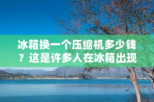 冰箱换一个压缩机多少钱?这是许多人在冰箱出现故障时常常问到的一个问题。冰箱作为家庭中必不可少的电器之一,经常需要长时间运行,因此压缩机的寿命也会受到一定的影响。当冰箱出现压缩机故障时,我们需要考虑是否需要更换压缩机以恢复冰箱的正常运行。