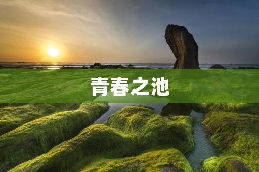 青春之池:回忆与成长的波澜壮阔