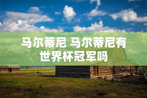 马尔蒂尼 马尔蒂尼有世界杯冠军吗