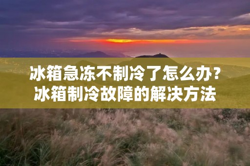 冰箱急冻不制冷了怎么办?冰箱制冷故障的解决方法 冰箱急冻不制冷了怎么办?冰箱制冷故障的解决方法