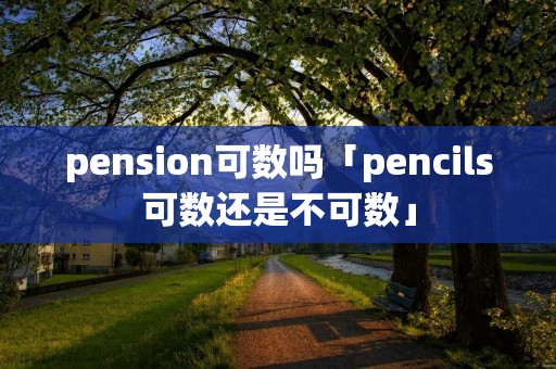 pension可数吗「pencils可数还是不可数」