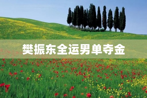 樊振东全运男单夺金：实力与毅力的完美结合