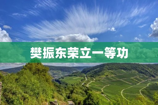 樊振东荣立一等功:中国乒乓球运动员的光荣时刻 樊振东荣立一等功:中国乒乓球运动员的光荣时刻