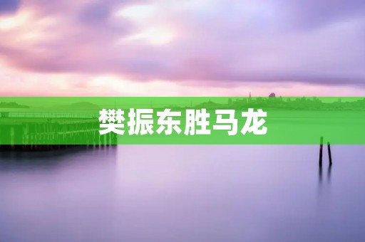 樊振东胜马龙：中国乒乓球新秀的崛起
