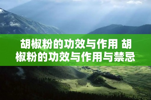 胡椒粉的功效与作用 胡椒粉的功效与作用与禁忌
