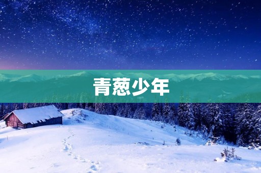 青葱少年:追寻梦想的奋斗之路