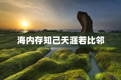 海内存知己天涯若比邻:漫谈友情的真谛