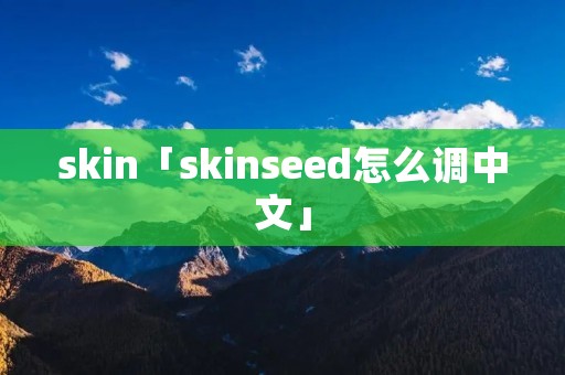 skin「skinseed怎么调中文」