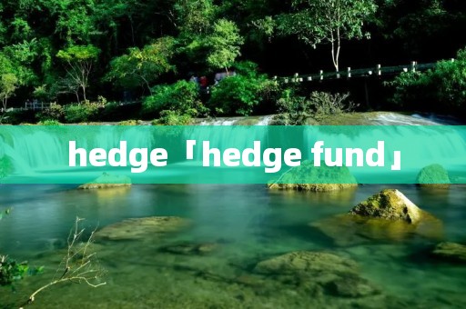 hedge「hedge fund」 hedge「hedge fund」
