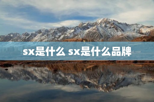 sx是什么 sx是什么品牌