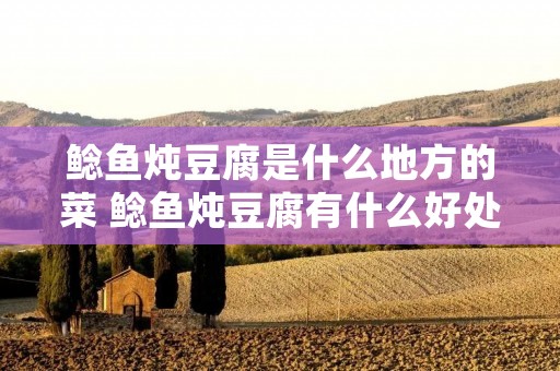 鲶鱼炖豆腐是什么地方的菜 鲶鱼炖豆腐有什么好处