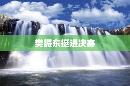 樊振东挺进决赛：中国乒乓球新星的崛起