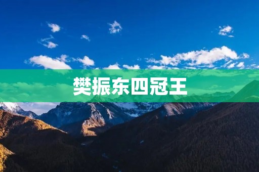 樊振东四冠王：击败强敌，创造辉煌