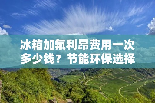 冰箱加氟利昂费用一次多少钱？节能环保选择不可忽视