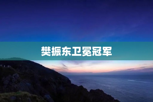 樊振东卫冕冠军:再次展现出色实力和无懈可击的表现 樊振东卫冕冠军:再次展现出色实力和无懈可击的表现