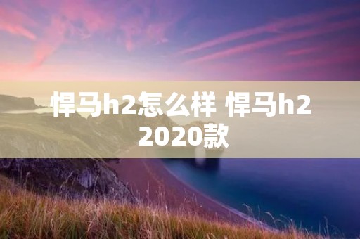 悍马h2怎么样 悍马h2 2020款