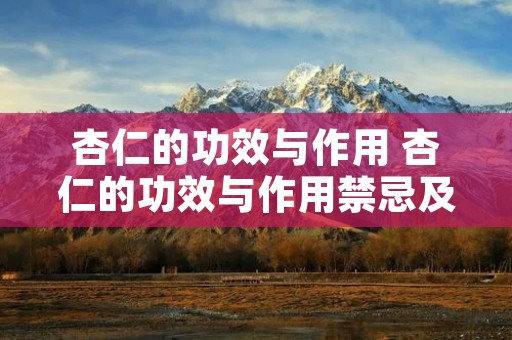 杏仁的功效与作用 杏仁的功效与作用禁忌及食用方法
