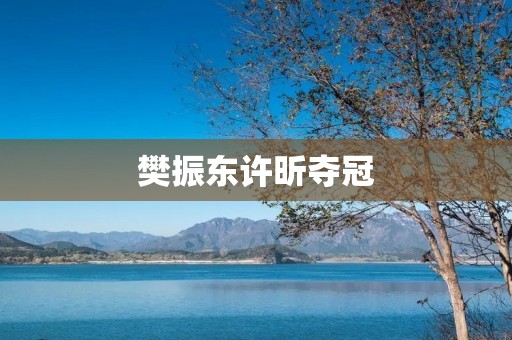 樊振东许昕夺冠:中国乒乓球新一代巅峰对决 樊振东许昕夺冠:中国乒乓球新一代巅峰对决