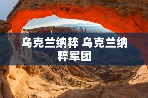 乌克兰纳粹 乌克兰纳粹军团