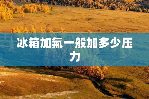 冰箱加氟一般加多少压力