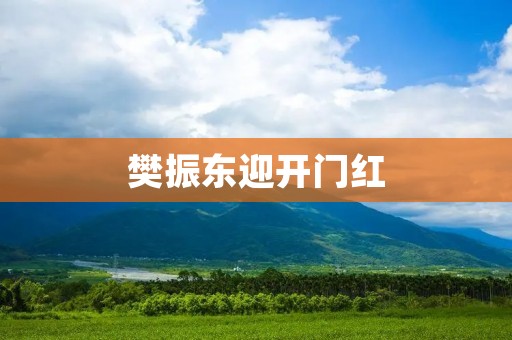 樊振东迎开门红：中国乒乓球新星的崛起