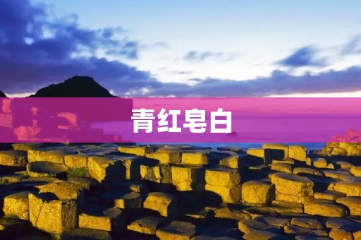青红皂白:一个关于真相的故事