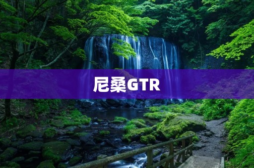 尼桑GTR:超级跑车的代表之作 尼桑GTR:超级跑车的代表之作