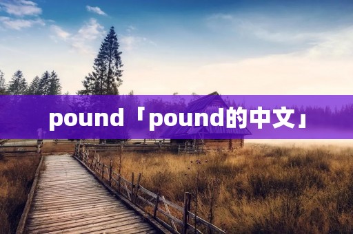 pound「pound的中文」 pound「pound的中文」